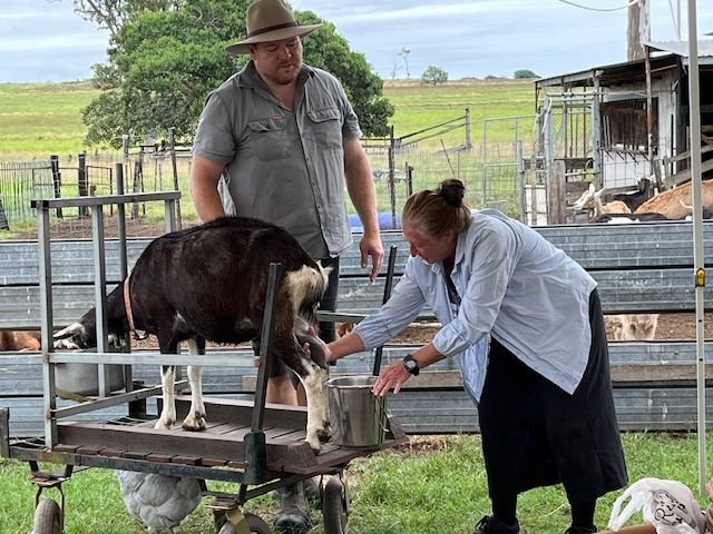 Members and guests enjoyed some kidding around when we visited the Naughty Little Kids goat farm at Peak Crossing during our mystery day bus trip in March 2024