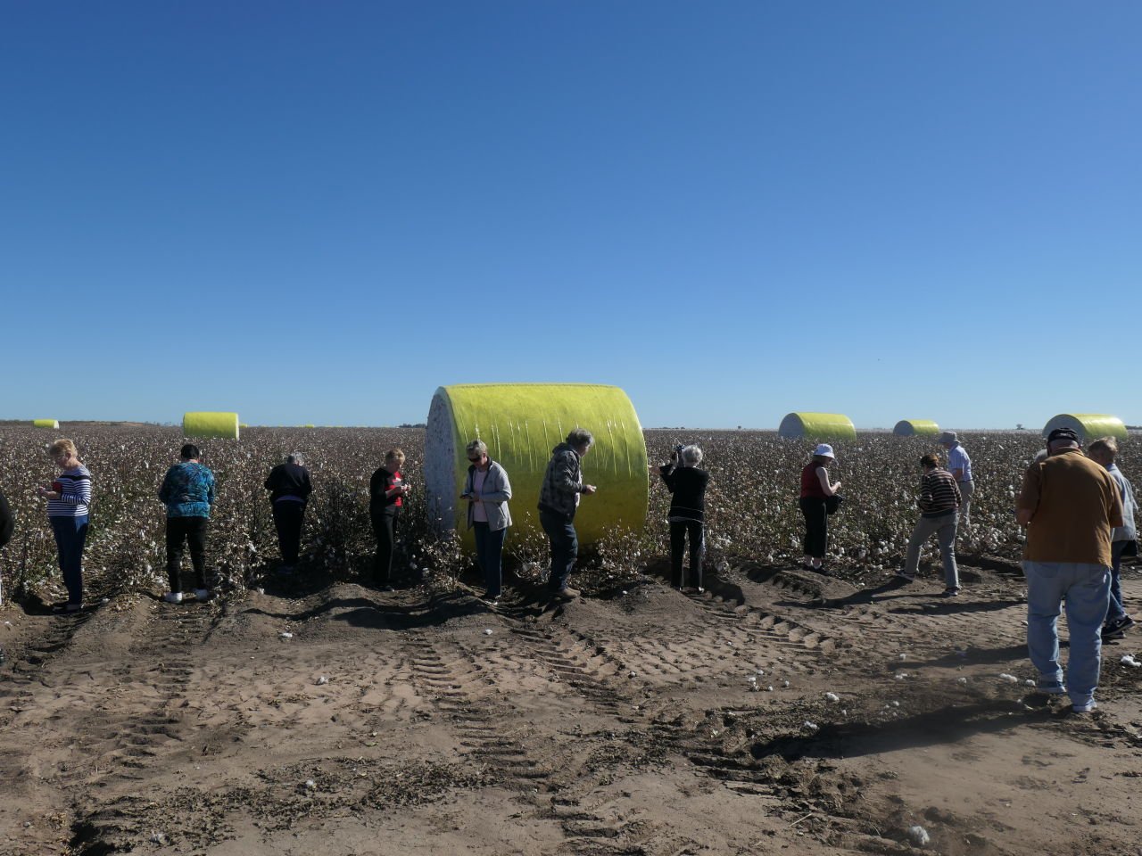 Lightening Ridge Trip - St George - Inspecting the cotton field after harvest