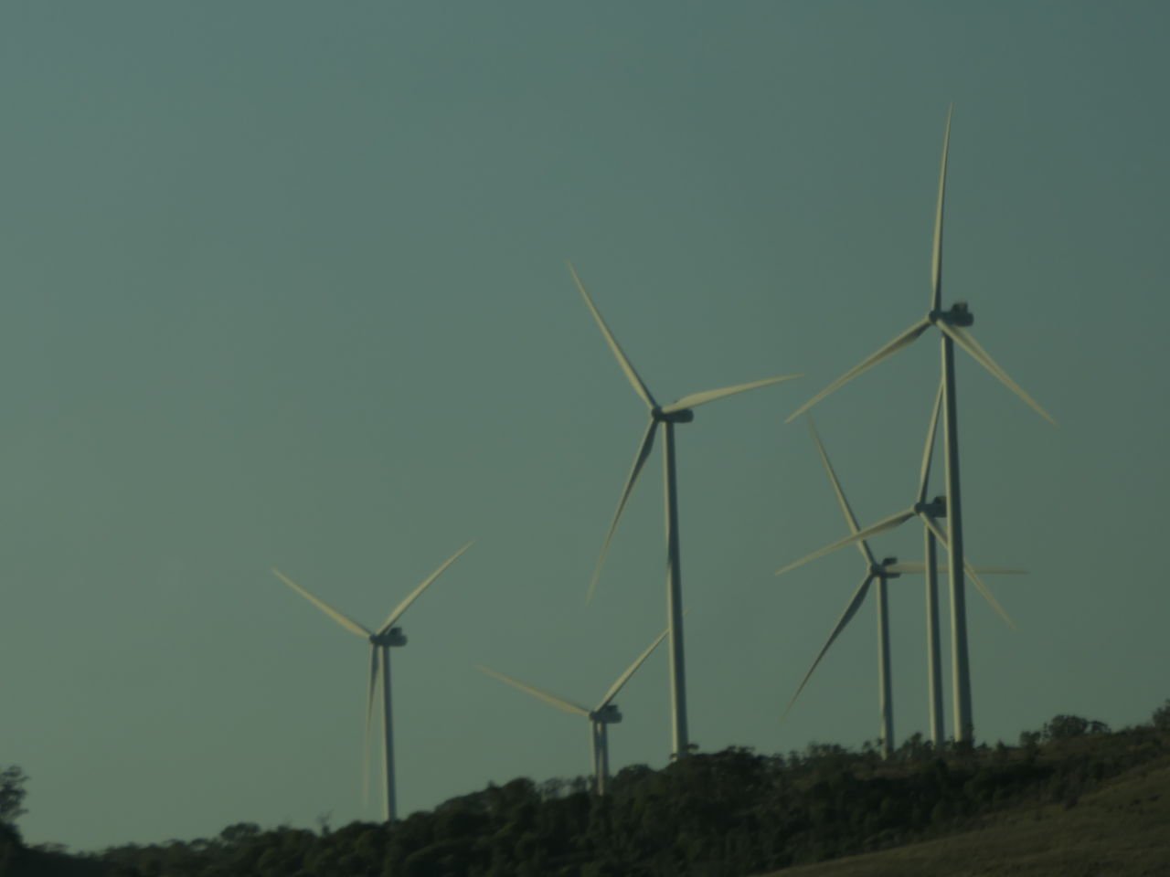 Windfarm between Glen Innis & Inverell -
Day 7 Dorrigo Trip 2023-09