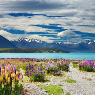 South Island Sojourn